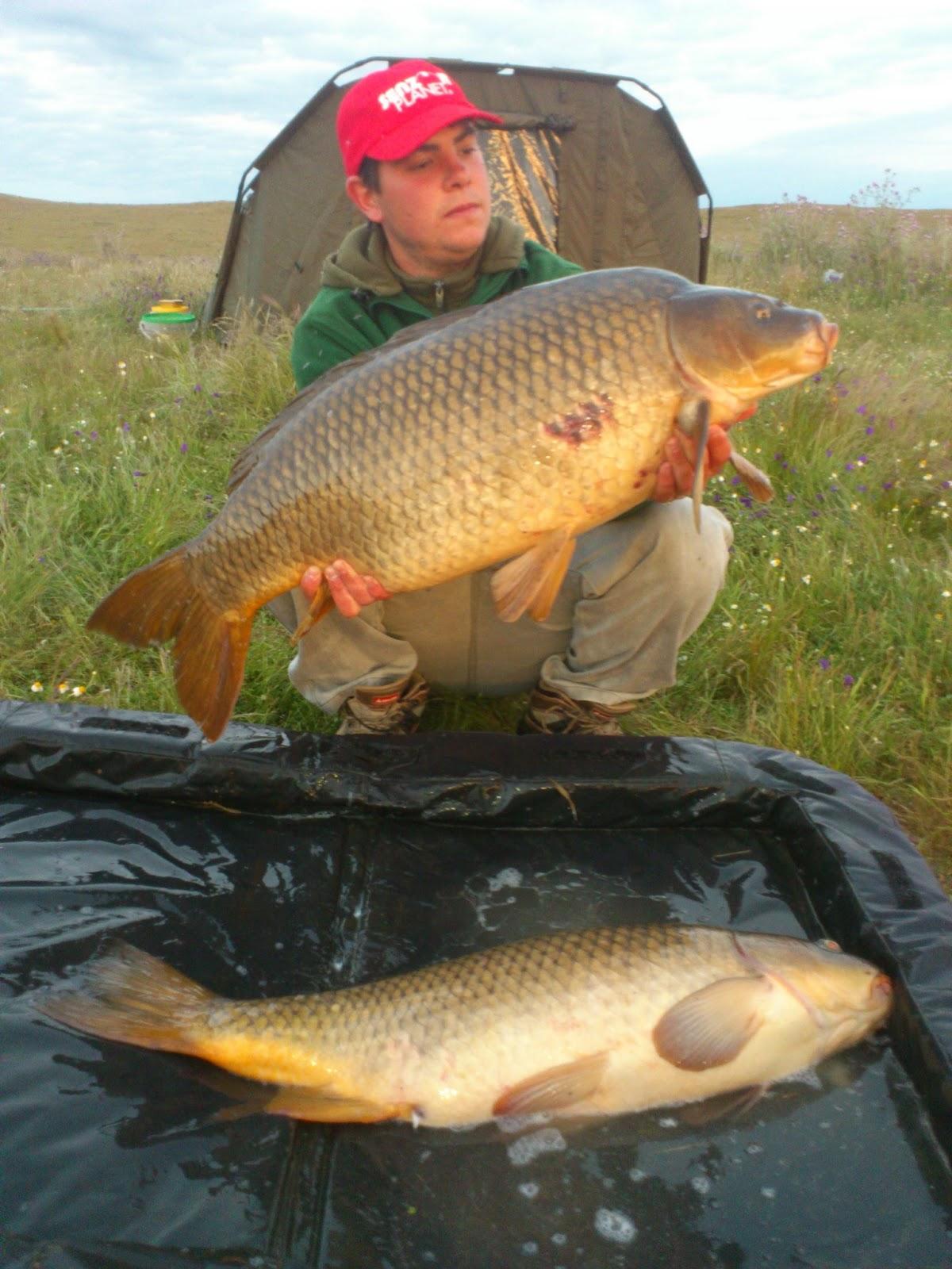 SNZ PLANET SPAIN MAI 2013 - crap-spania-over20.JPG